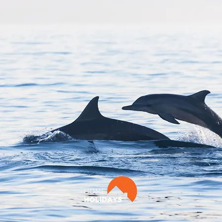 #165 Liberdade 105 By Holidays